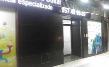 Menendez Collar Dental Clinic