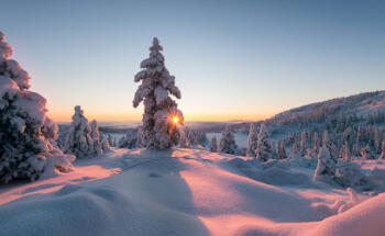 Summit View Biological Dentistry and Wellness
