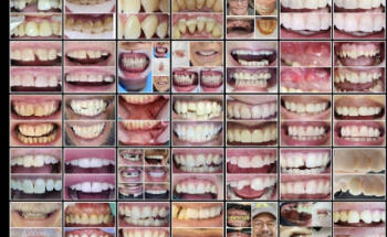 Baum Eric T DMD Emergency Dentistry