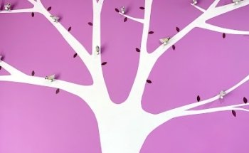 Clínica Dental Ferao