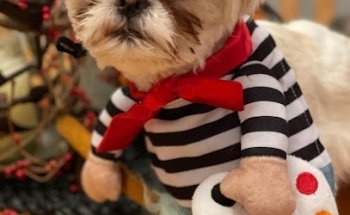 Arbor View Animal Hospital