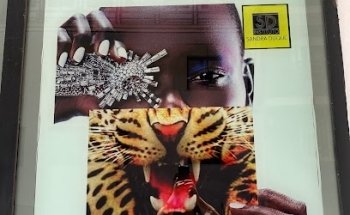 Instituto Sandra Duque