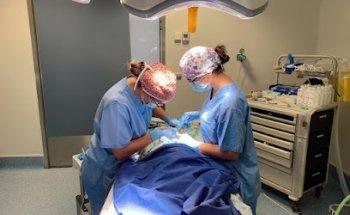 Odontología Infantil y Familiar en Valladolid Galván Lobo