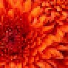 Clínica Dental Dr. Condado