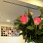 Dentist Leuven | practice 318
