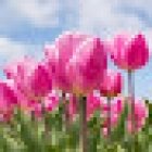 Alma Clínica Dental / Coslada