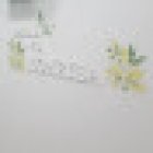 Clínica dental Ourense Caredent