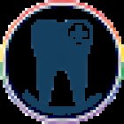 Dentista Urgencia Madrid