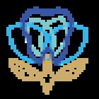 DENTISTA Holistic Dental