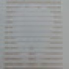 Odontologia Integral