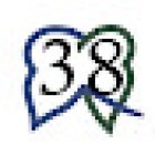 Dental 38