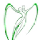 Teran Dentistry Center