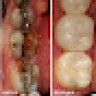 Dr. Luis Daniel Gonzalez