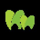 Albany Village Dental