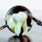 New Plymouth Dental Centre