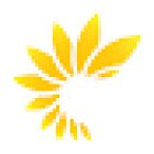 Sunshine Dental, Johnsonville