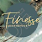 Finesse Aesthetics