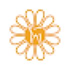 Marigold Dental and Orthodontic Clinic in Abu Dhabi