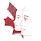 Canadian Specialized Dental Center