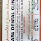 Sara Dental Clinic LLC new name DAR AL ASHRA DENTAL CENTRE