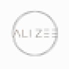 Dr. Ali Zee (Alireza Zaeefjou)