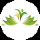 Life Maral Dental & Dermatology