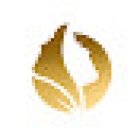 Golden Rose Medical Center - مركز الوردة الذهبية الطبي