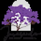 Jacaranda Family Dental Gympie