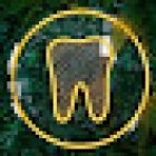 Creative Dental Haus