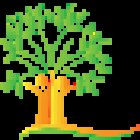 Grovedale Dental Clinic