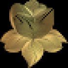 Leeming Dental - Family and Cosmetic Dental