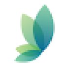 Grace Dental (Edensor Park)