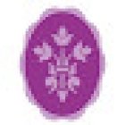 Braeside Dental Surgery