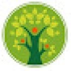 Goulburn Family & Cosmetic Dental Practice