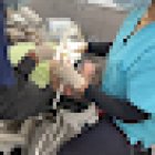 Rosanna Family Dental - Dentist Rosanna