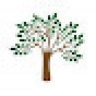 Oatley Family Dental