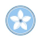 Tidy Tooth Dental Broulee