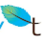 Totally Teeth Endeavour Hills