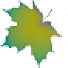 Ashburton Family Dental