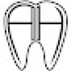 Burleigh Dental Studio