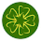 Star Dental & Implant Centre