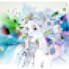 1st Lady Health & Beauty