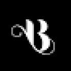 Blushaé Spray Tanning and Lash Studio | Academy