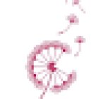 Tonbridge: Calm & Gentle Dental Care