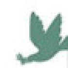 Ravenscourt Dental Practice