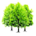 Birchgrove Dental Practice