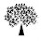 Mulberry Dental Clinic (Oral Surgery and Dental Implant Leading Centre)