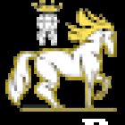 Castle Rising Dental Surgery - Accepting New Private Patients | Composite Bonding | Clear Braces & Invisalign | Implants