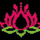 Lotus Dental Practice