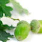 Acorn Dental Surgery,